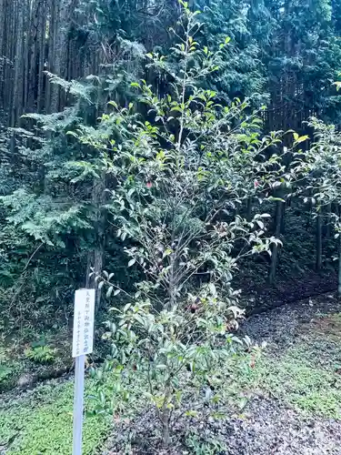 三之倉神社(岐阜県)