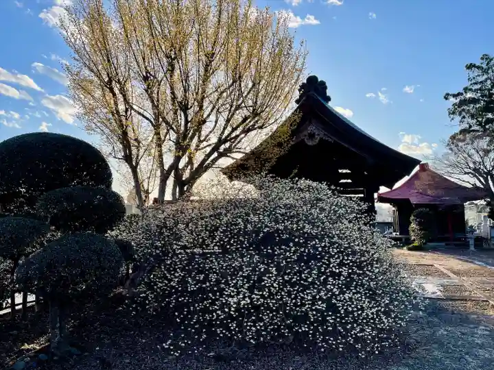 全水寺(栃木県)