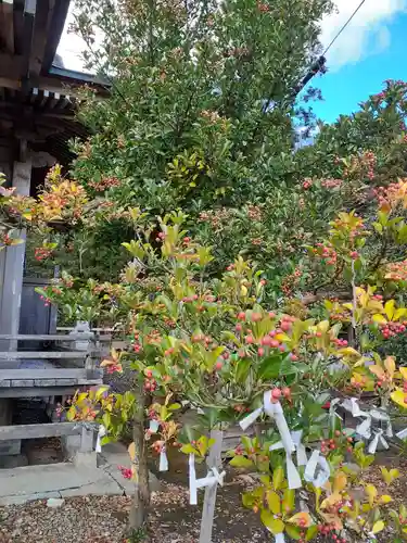 荒雄川神社(宮城県)