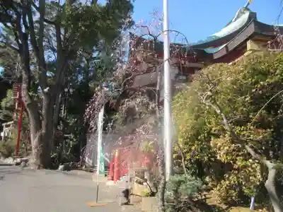 居木神社(東京都)