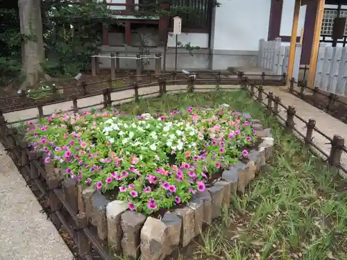 川越八幡宮の庭園