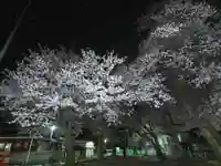 蓮久寺(千葉県)