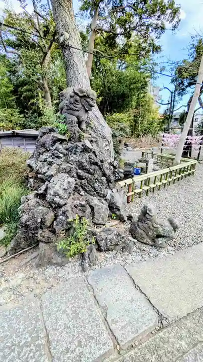 菊田神社の狛犬