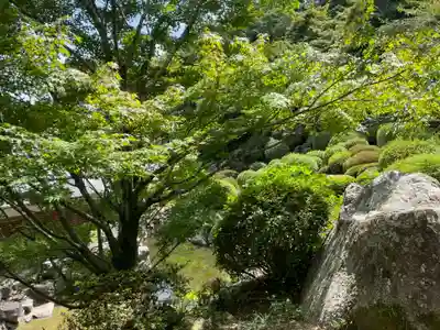 神恵院(香川県)