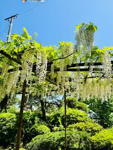 白旗神社(神奈川県)