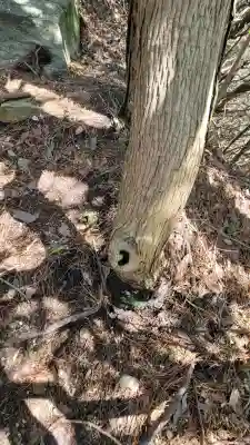 御岩神社の{uncategorized: "未分類", other: "その他", undefined: "問題あり", building: "その他建物", grave: "お墓", sacred_gate: "鳥居", guardian: "狛犬", statue: "像", buddha: "仏像", history: "歴史", nature: "自然", garden: "庭園", animal: "動物", pagoda: "塔", temizu: "手水舎", mountain_gate: "山門・神門", sanctuary: "本殿・本堂", subordinate: "末社・摂社", art: "芸術", scenery: "景色", jizo: "地蔵", ema: "絵馬", goshuin: "御朱印", omikuji: "おみくじ", items: "授与品その他", amulet: "お守り", goshuincho: "御朱印帳", eats: "食事", festival: "お祭り", votive_dance: "神楽", shichigosan: "七五三参", wedding: "結婚式", experience: "体験その他", initially: "初詣", around: "周辺", anti_infection: "感染症対策"}