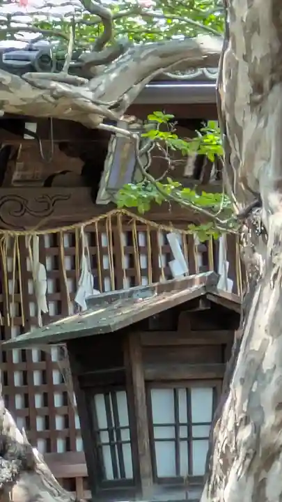 大應寺(大応寺)(京都府)