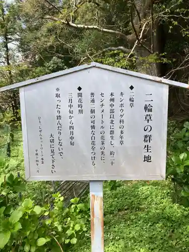 野木神社(栃木県)