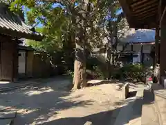 城安寺の建物その他