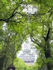 岐阜護國神社(岐阜県)