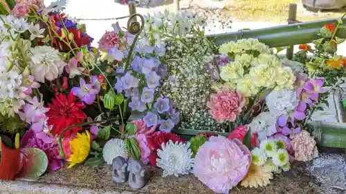 勝林寺(京都府)