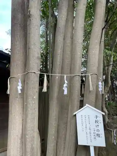 検見川神社の自然