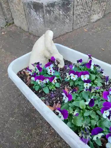 神炊館神社 ⁂奥州須賀川総鎮守⁂(福島県)