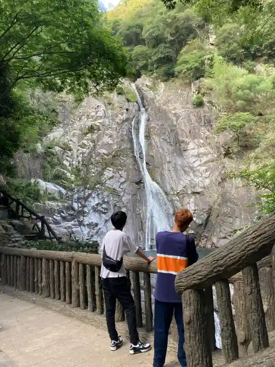 不動尊(布引の滝)の自然