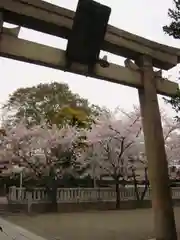 元郷氷川神社の鳥居