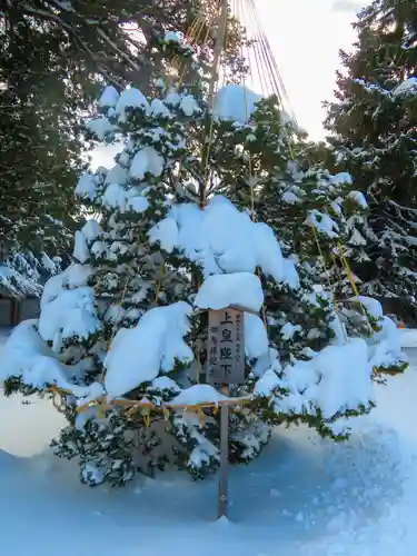 北海道神宮(北海道)