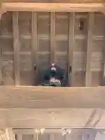 乗蓮寺(千葉県)