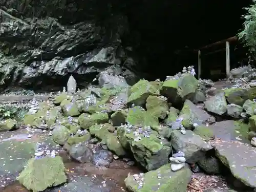 天岩戸神社の自然