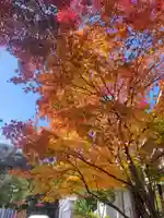 芦屋神社(兵庫県)