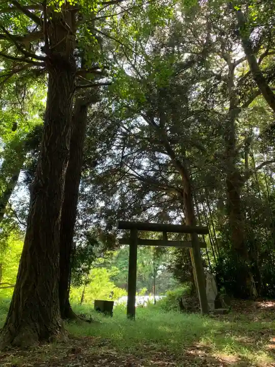 水神社(千葉県)