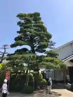 日吉山王社(愛知県)