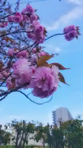 神明社（国府宮神明社）の自然