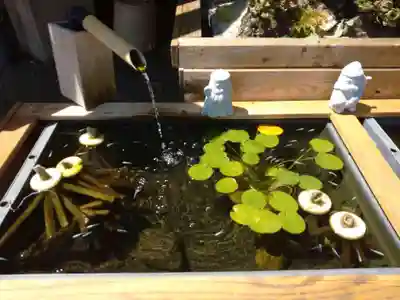 観音寺の手水舎