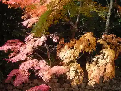 永源寺(滋賀県)