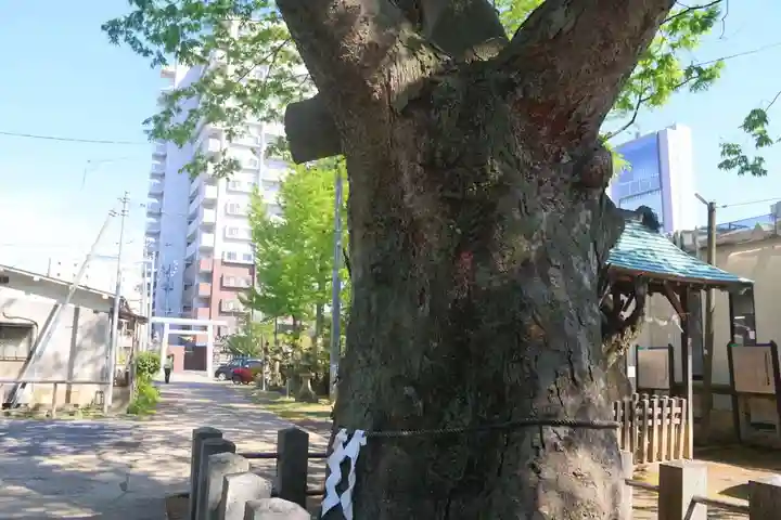 阿邪訶根神社の景色