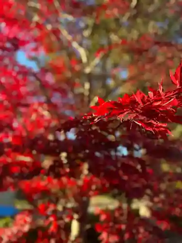 宝来山神社(和歌山県)