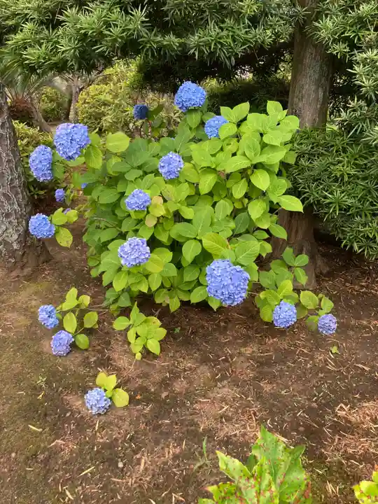 寳藏院(神奈川県)