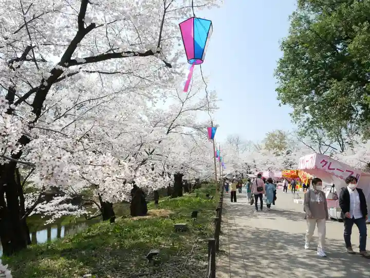 眞田神社の自然