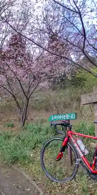 小町神社の自然