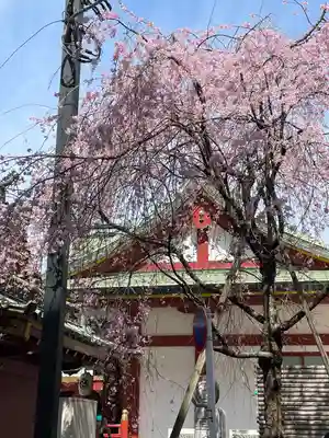 神田神社（神田明神）(東京都)