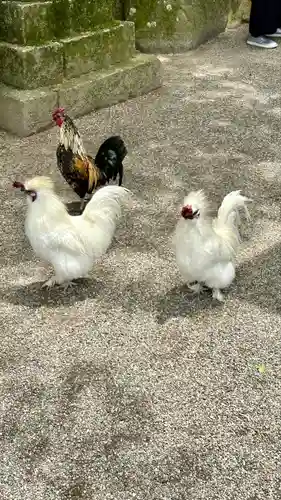 石上神宮(奈良県)