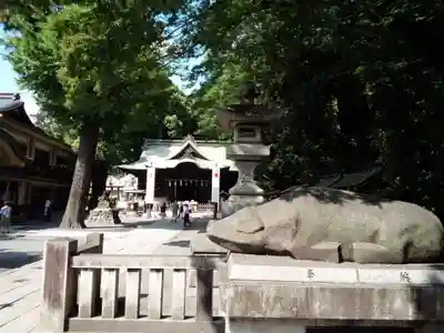 谷保天満宮の狛犬