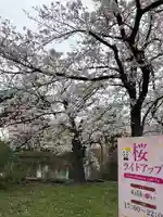 寛永寺不忍池弁天堂の自然