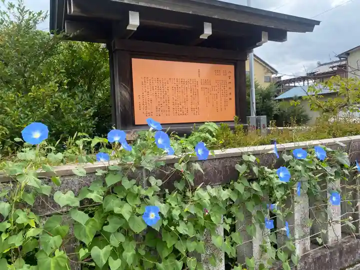 八雲神社(栃木県)