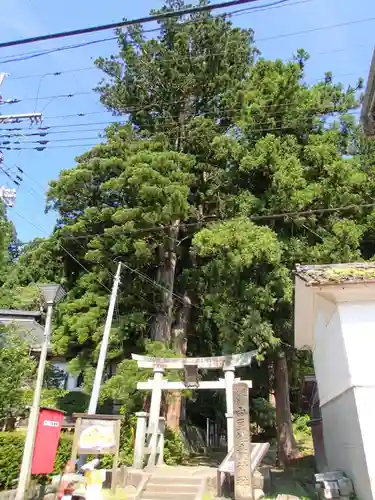 由豆佐賣神社の鳥居