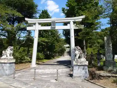 厄除八幡宮 の鳥居