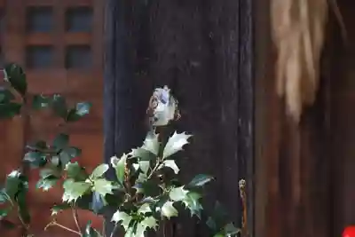 滑川神社 - 仕事と子どもの守り神のお祭り