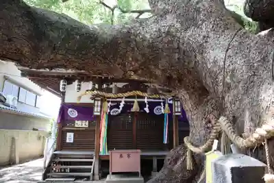 三島神社の自然
