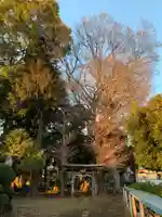 都部八坂神社(千葉県)