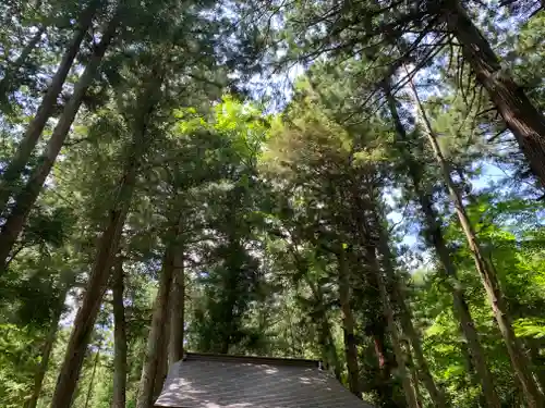 高房神社　下社(栃木県)