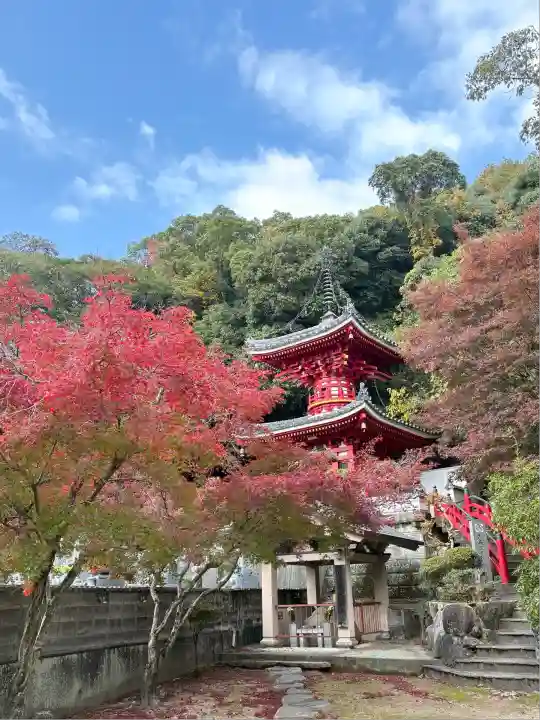 金泉寺(徳島県)
