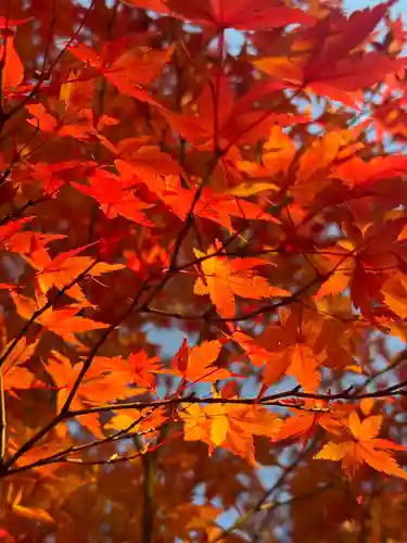 伊勢の国 四天王寺(三重県)
