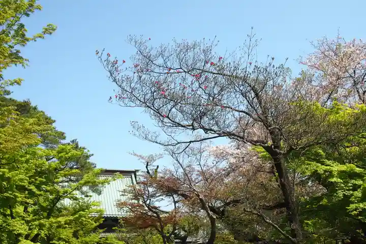 豪徳寺(東京都)