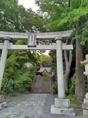 日吉神社の鳥居