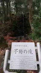 珊瑚寺の歴史