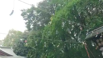世田谷八幡宮(東京都)